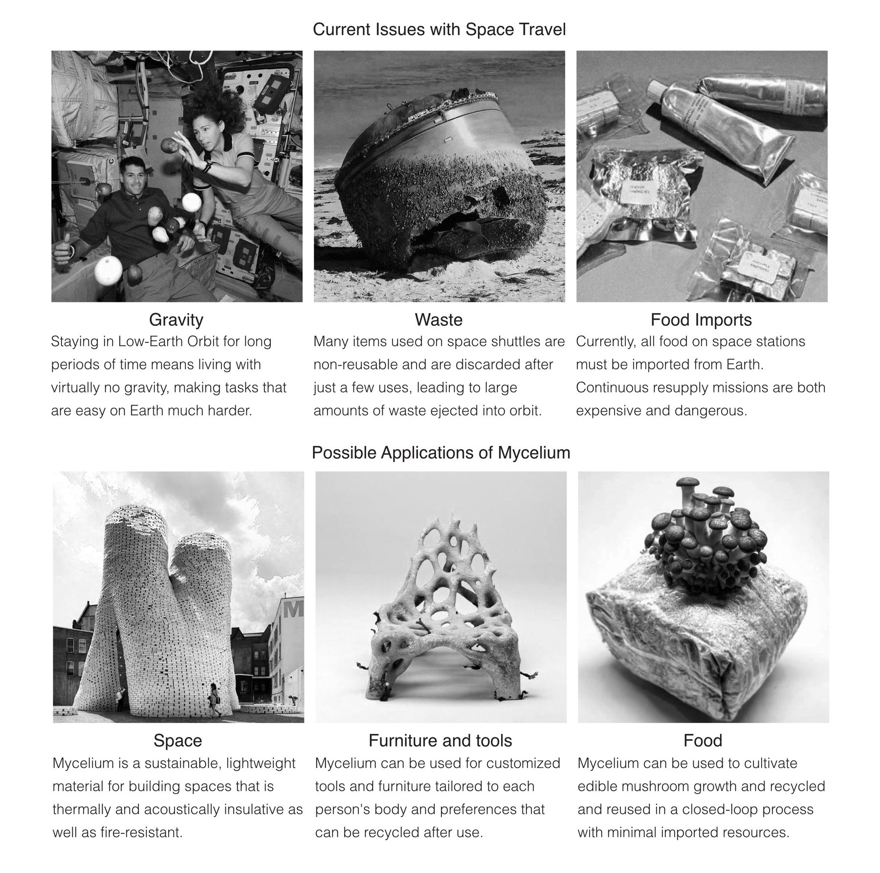 Current issues with space travel (gravity, waste, food imports) and possible applications of mycelium (space, furniture and tools, food)