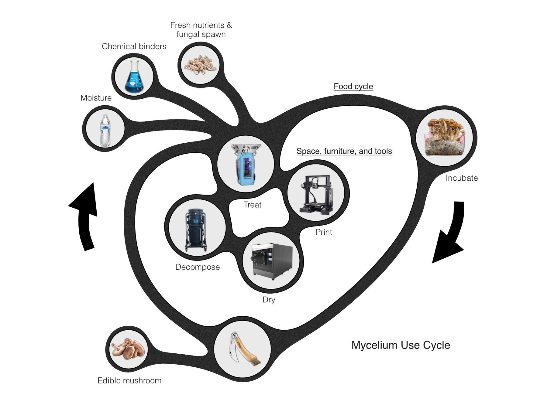 Mycelium use cycle diagram